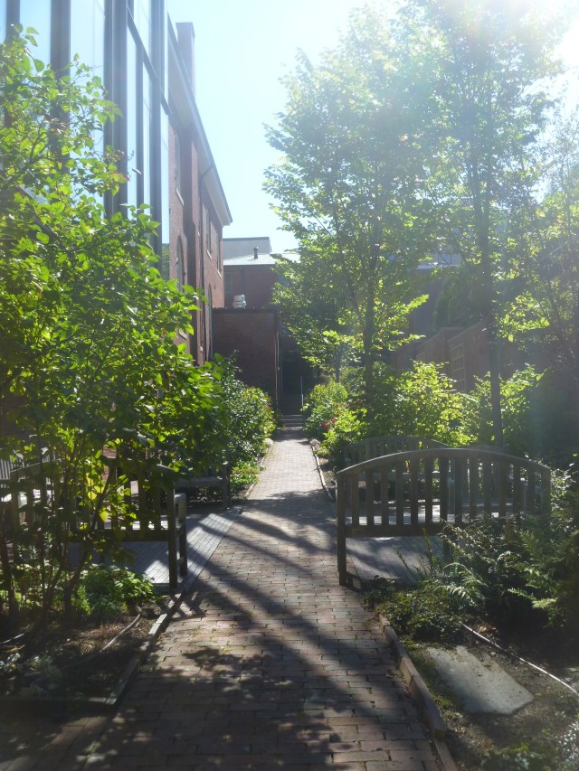 Looking back up garden