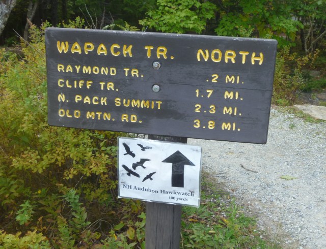 Trail to hawk watch