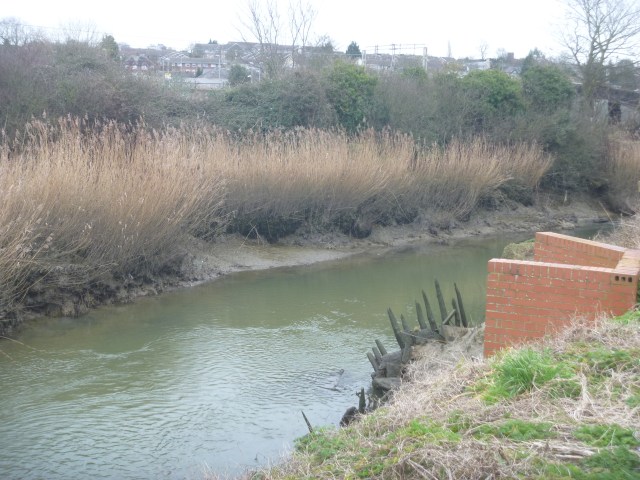 Tidal river colne today