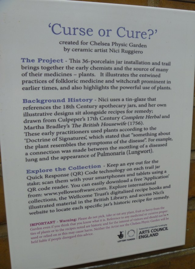 curse or cure descrip