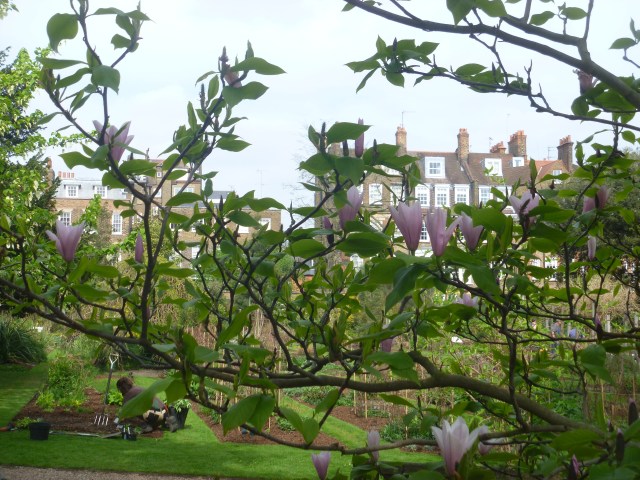 volunteers and gardeners at work