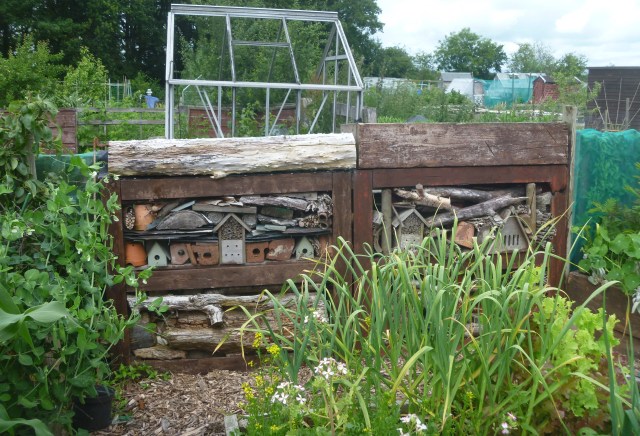 Kath's Bee Hotel