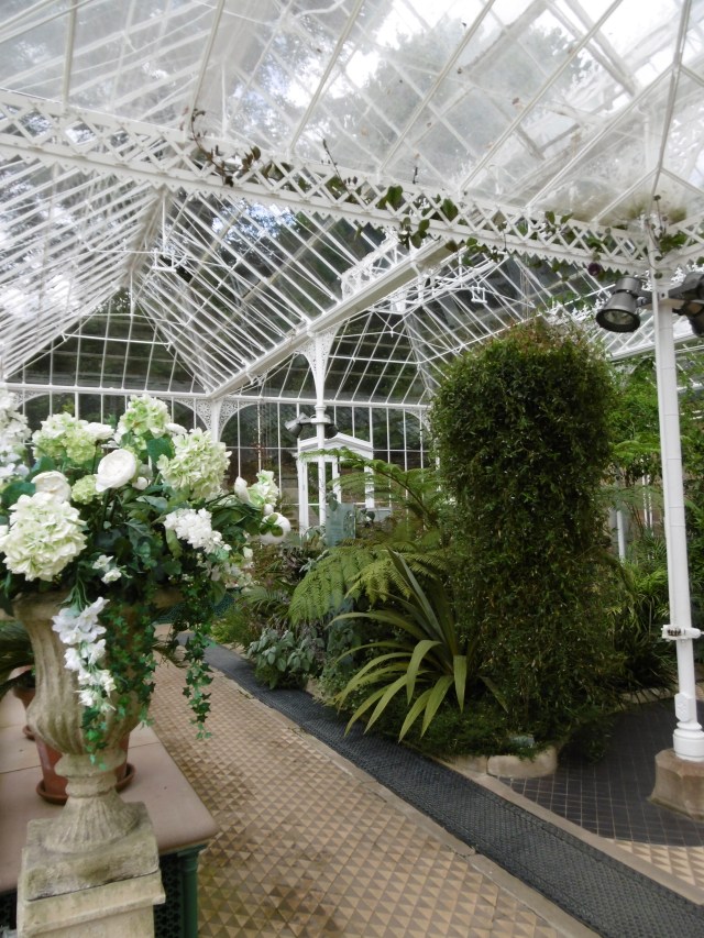 Glasshouse interior