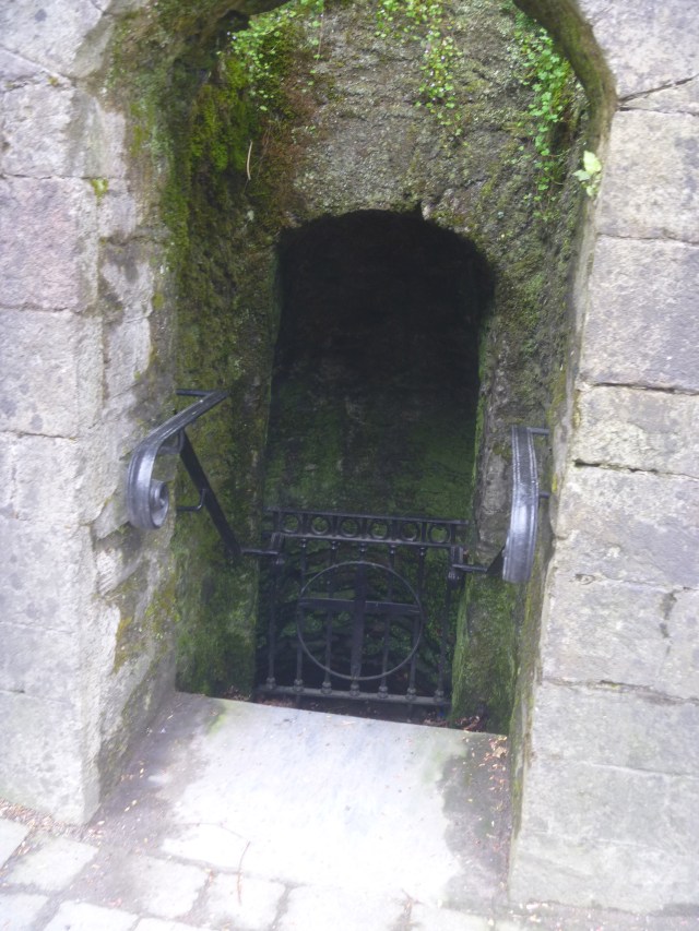 St Carthage well