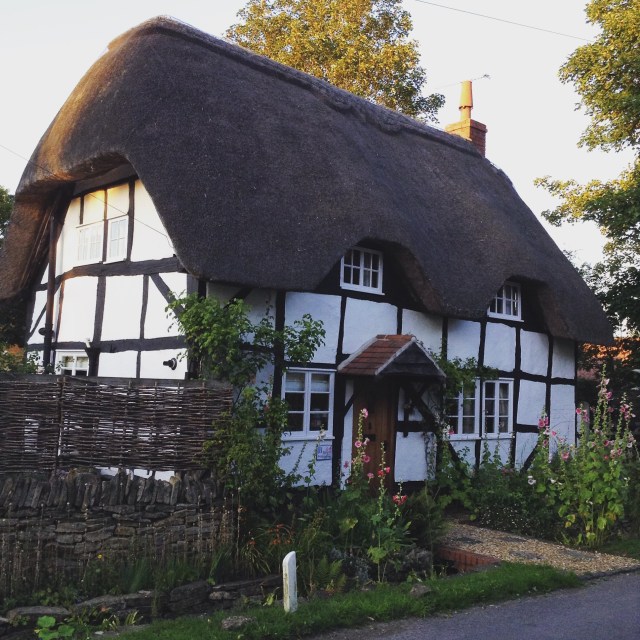 Thatched beauty