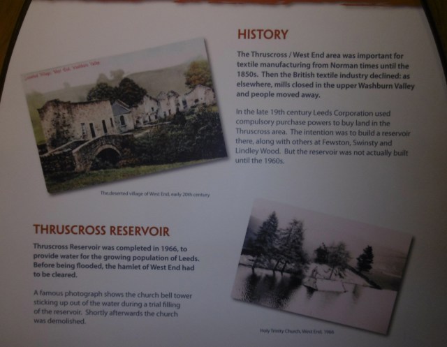 read about thruscross