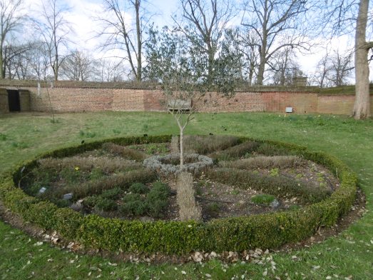 medicinal herb knot gdn