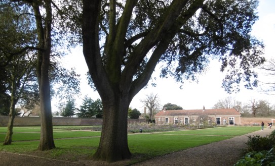 walled kitchen garden