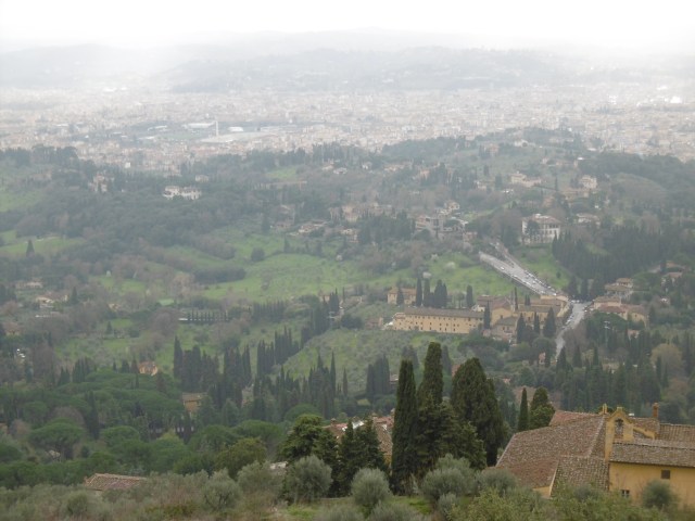 Florence view