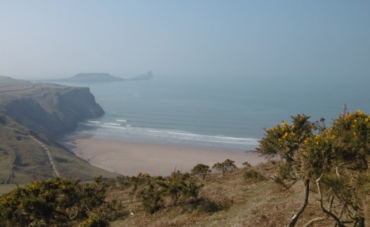 hazy worms head