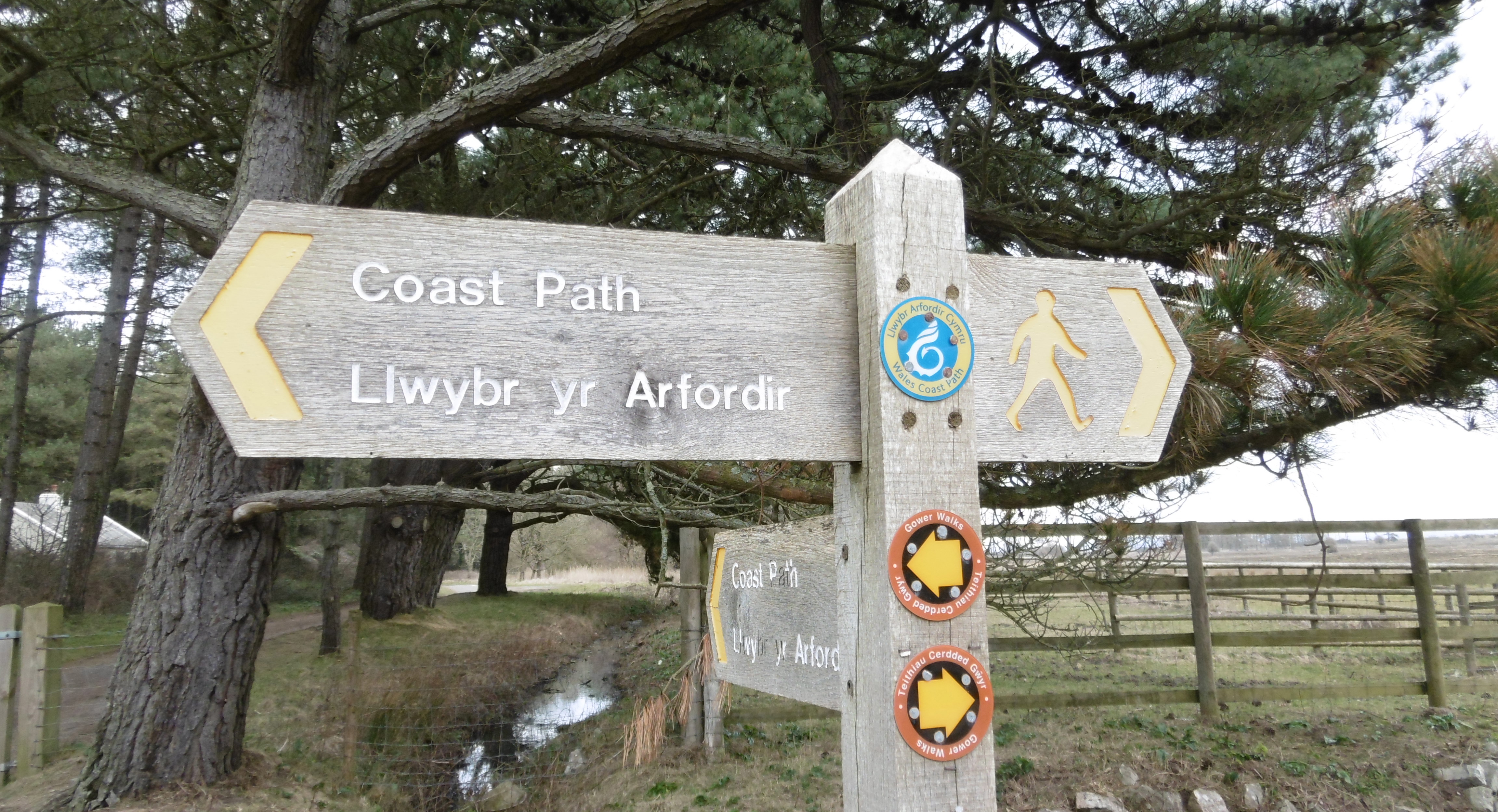 path sign « miladysboudoir