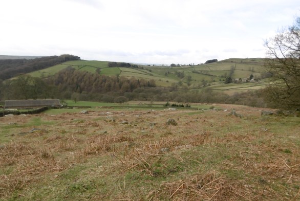 romano british village and chapel ruin