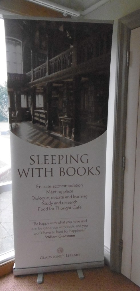 sleeping w books