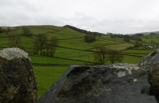 ancient field patterns