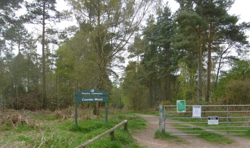 coombs wood