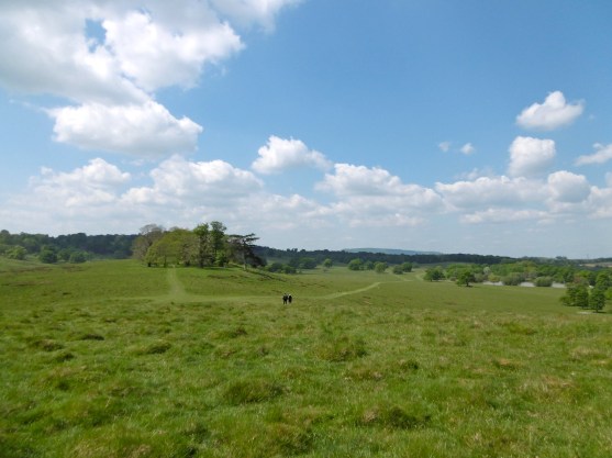 paths to longer walks