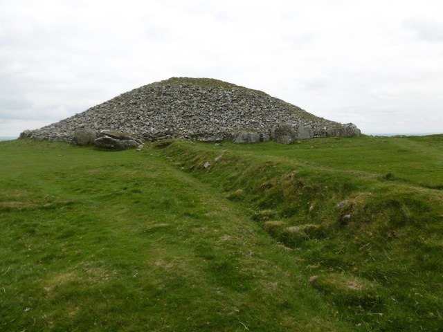 Cairn T behind