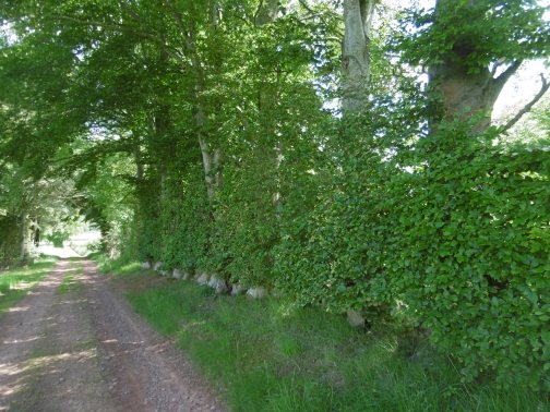 Day 2 Leaving Trimontium