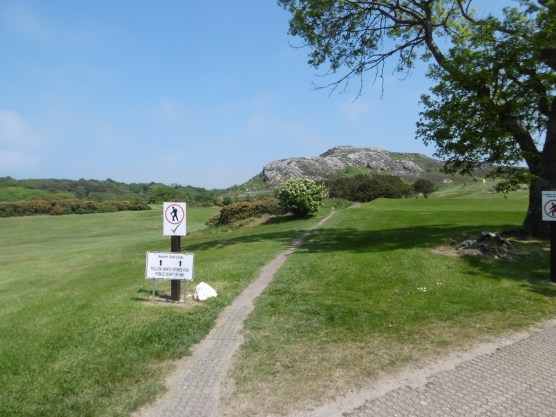 heading to bog of frogs