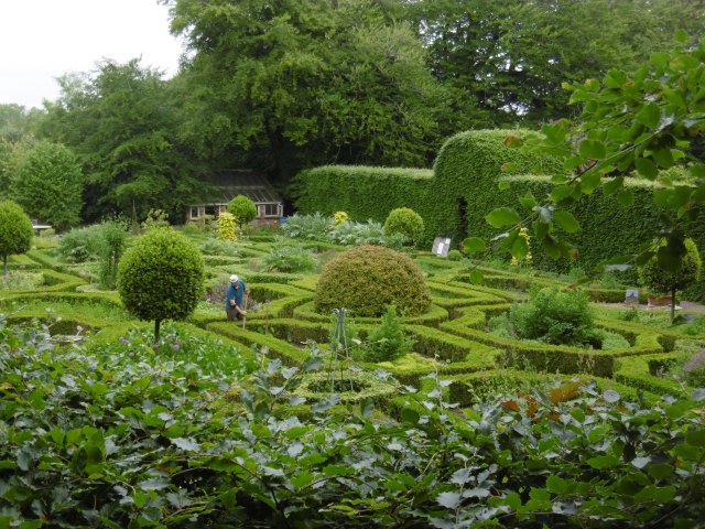 herb garden from treehouse