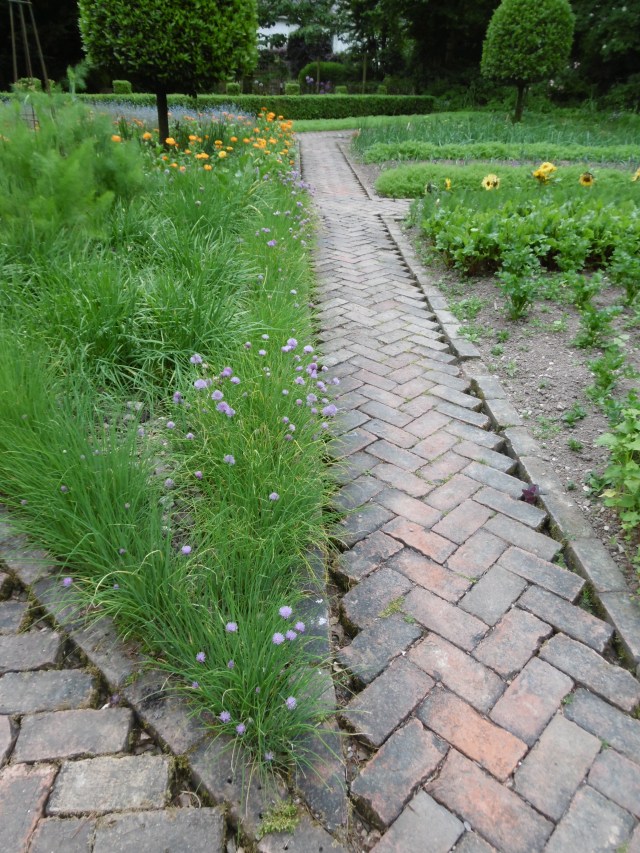 kitchen garden path
