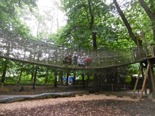 Rope bridge