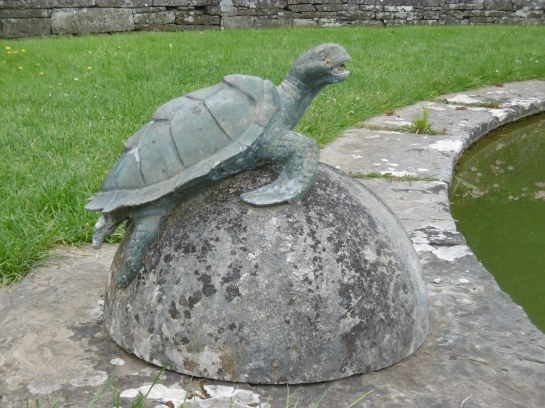 turtle guard
