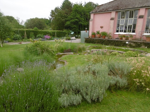 water garden