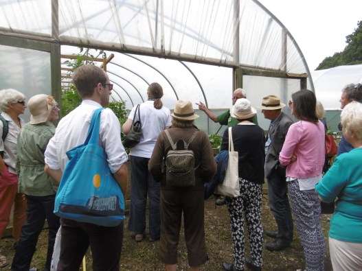 Inspecting a Poly Tunnel