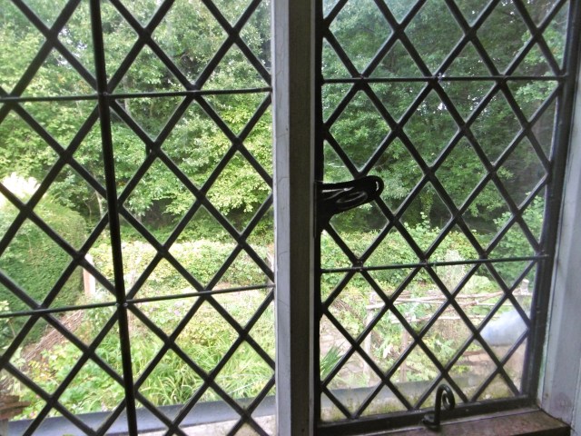 garden-from-upstairs