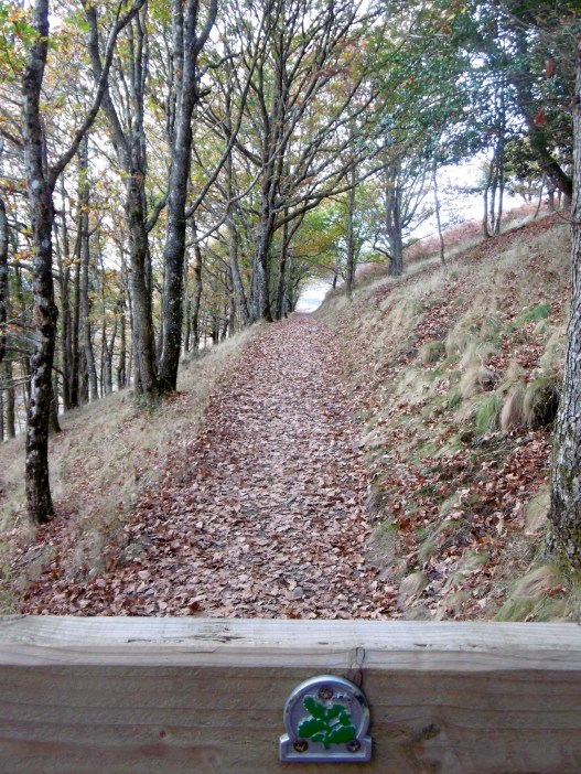 hunters-path-continues