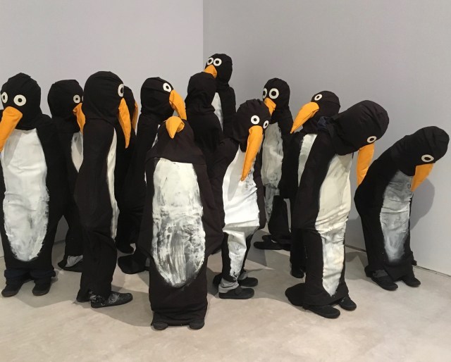 penguins