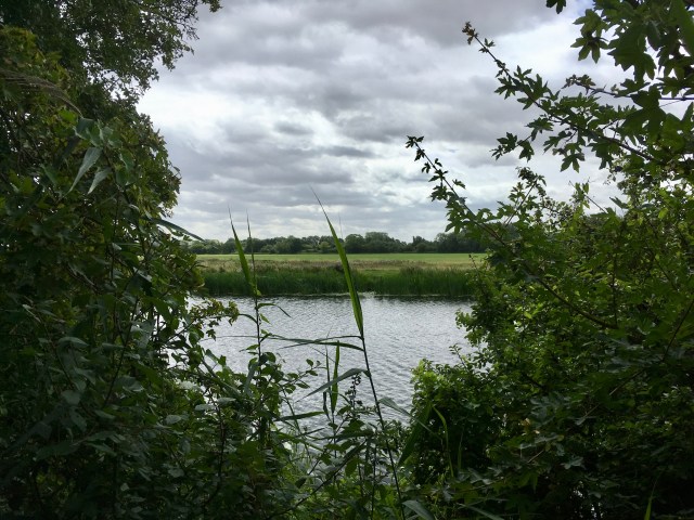 glimpse of great ouse