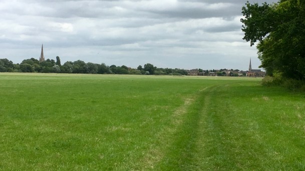 Hemingford meadow