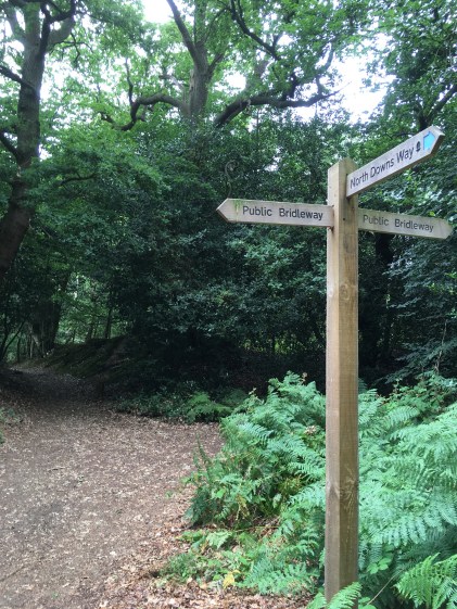North Downs Way
