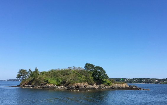 Cow Island