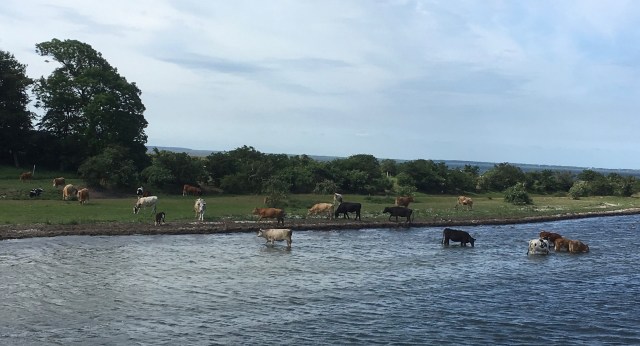 setting off for hiddensee