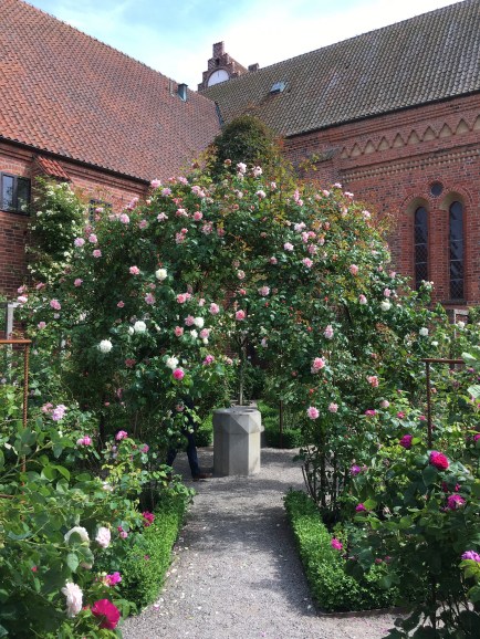 rose garden
